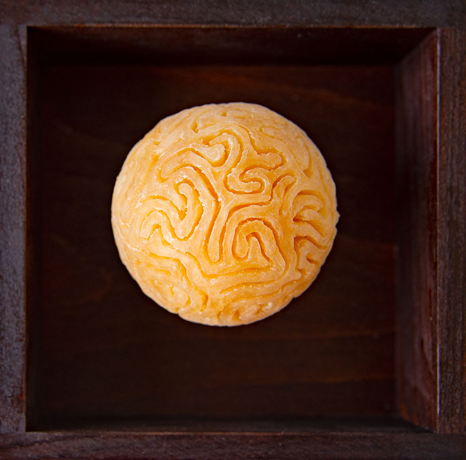 extraterrestrische intelligenz