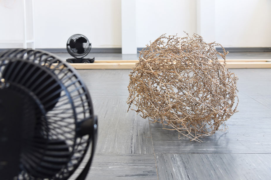 systemwettbewerb im anthropozän