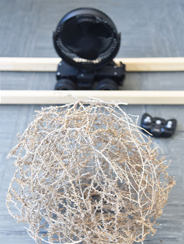 systemwettbewerb im anthropozän